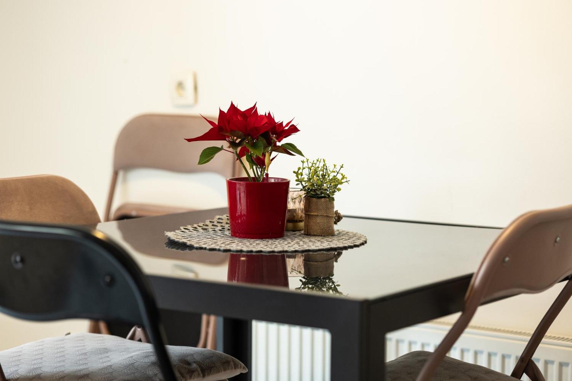 Appartement Great For Couples Or Small Families Ljubljana