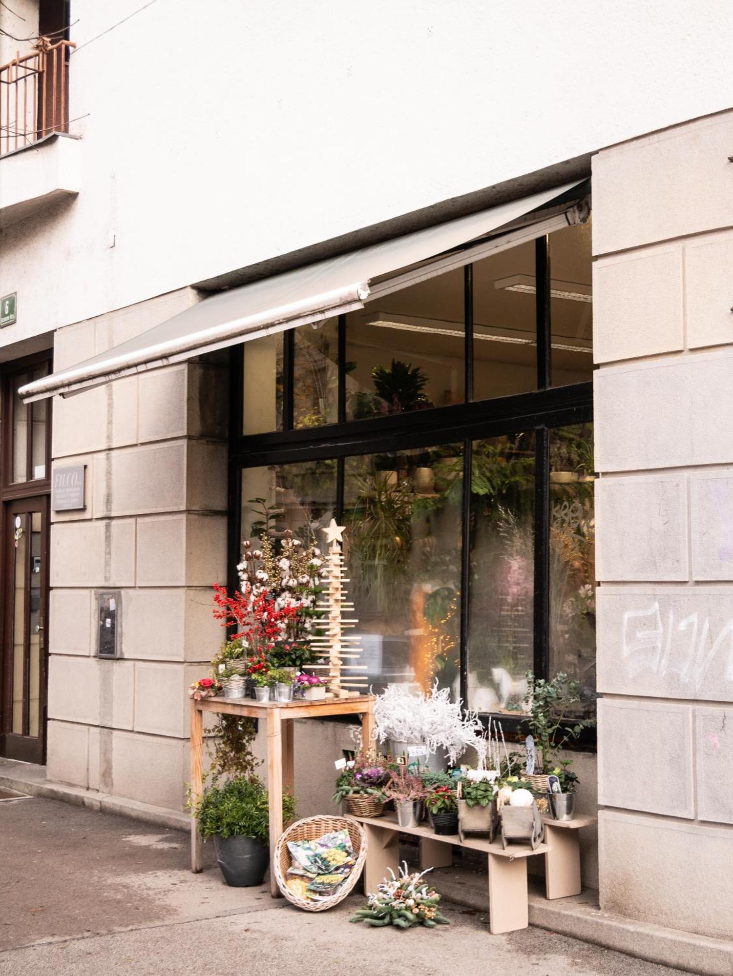 Appartement Great For Couples Or Small Families